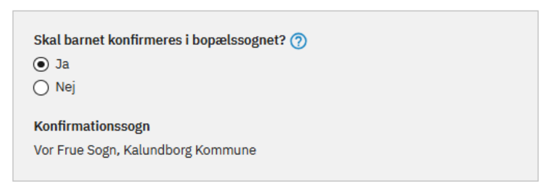 billede af felter til udfyldelse af konfirmation i bopælssogn